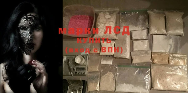 ПСИЛОЦИБИНОВЫЕ ГРИБЫ Вязники